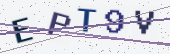 Security code picture